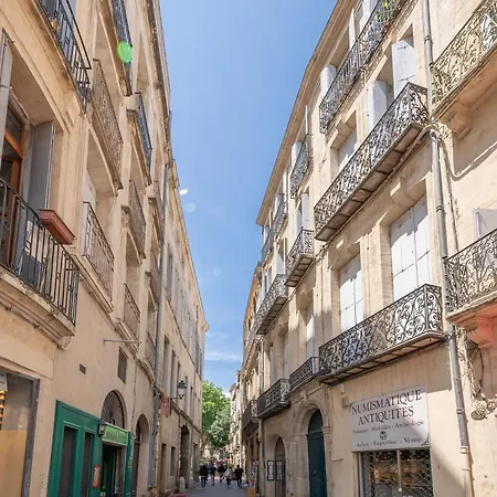 Le Palais Des Guilhem Apartment